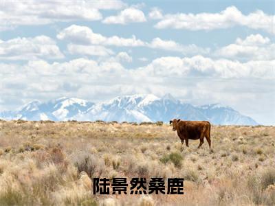 陆景然桑鹿(陆景然桑鹿)全文免费阅读无弹窗大结局_陆景然桑鹿免费阅读最新章节列表_笔趣阁（陆景然桑鹿）