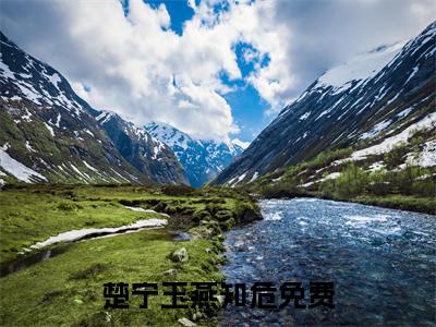 主角是楚宁玉燕知危的小说-《楚宁玉燕知危》完整章节阅读