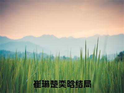 崔琳楚奕晗全文阅读-崔琳楚奕晗小说全文免费阅读_崔琳楚奕晗最新章节列表_笔趣阁
