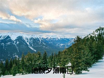 池颜夕薄南璟全文免费完整版 池颜夕薄南璟在线试读