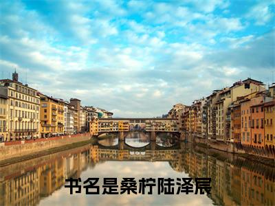 桑柠陆泽宸(桑柠陆泽宸小说)全文免费阅读无弹窗大结局_桑柠陆泽宸小说免费阅读最新章节列表_笔趣阁（桑柠陆泽宸小说）