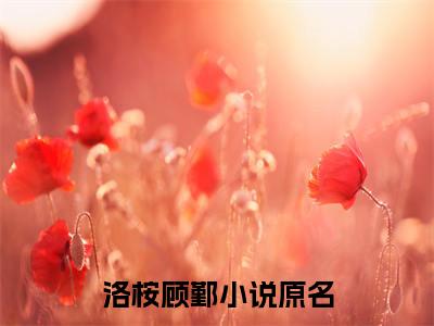 洛桉顾鄞全文免费阅读无弹窗大结局_洛桉顾鄞(洛桉顾鄞最新章节在线阅读)_笔趣阁