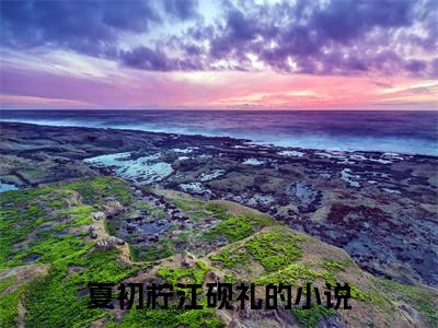 夏初柠江砚礼首发小说-夏初柠江砚礼(夏初柠江砚礼)无删减版全文在线