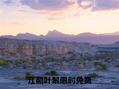 江勋叶黎小说(江勋叶黎)全文免费阅读无弹窗大结局_(江勋叶黎小说全文免费阅读)江勋叶黎最新章节列表笔趣阁（江勋叶黎）