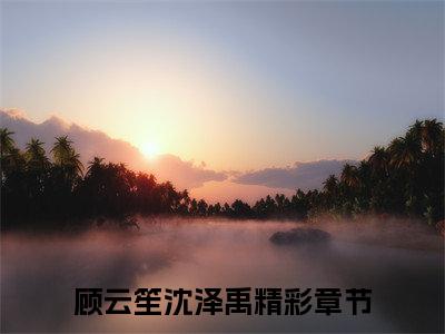 顾云笙沈泽禹知乎小说精彩章节免费阅读-顾云笙沈泽禹无删减热文推荐阅读