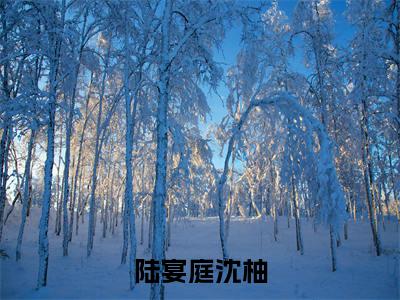 陆宴庭沈柚（陆宴庭沈柚小说）全文免费阅读无弹窗大结局_陆宴庭沈柚全文免费阅读（陆宴庭沈柚小说）最新章节列表_笔趣阁