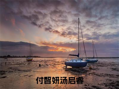 付智妍汤启睿（付智妍汤启睿）全文免费阅读_（付智妍汤启睿）最新章节列表笔趣阁