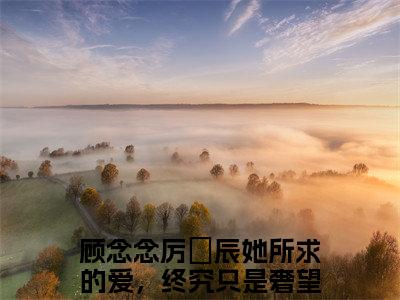 顾念念厉璟辰她所求的爱，终究只是奢望免费阅读大结局无弹窗-顾念念厉璟辰小说推荐她所求的爱，终究只是奢望精彩章节在线阅读