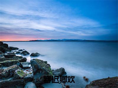容迟卿欢(容迟卿欢)全文免费阅读无弹窗大结局_(容迟卿欢)容迟卿欢全文免费完结版阅读(容迟卿欢)