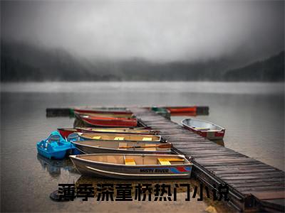 薄季深童桥（薄季深童桥）小说免费阅读抖音-薄季深童桥精选热门小说阅读