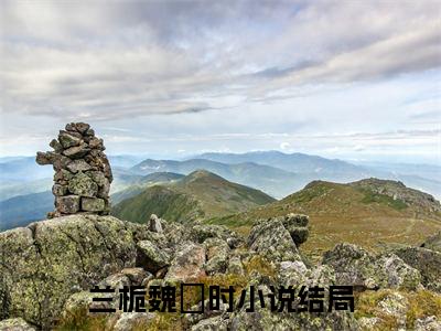 兰栀魏璟时(兰栀魏璟时)全文免费阅读无弹窗大结局_(兰栀魏璟时小说全文大结局)最新章节列表_笔趣阁（兰栀魏璟时）