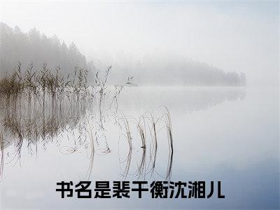 裴干衡沈湘儿小说（裴干衡沈湘儿）全文免费阅读无弹窗_裴干衡沈湘儿全文免费阅读无弹窗最新章节列表笔趣阁（裴干衡沈湘儿）