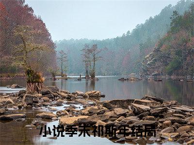 季末祁斯年精彩章节在线阅读_季末祁斯年免费观看（季末祁斯年）完结版_笔趣阁