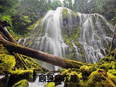顾昱朝沈嘉的小说全文免费阅读无弹窗,顾昱朝沈嘉的小说在线免费阅读大结局
