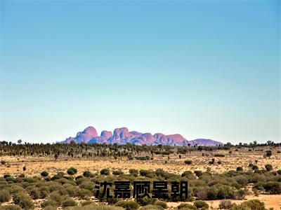 沈嘉顾昱朝小说小说全文免费阅读（沈嘉顾昱朝）全文免费沈嘉顾昱朝读无弹窗大结局