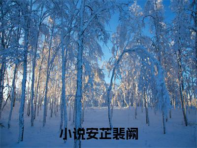 安芷裴阙小说免费阅读-安芷裴阙无广告全文阅读