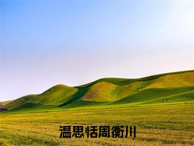 温思恬周衡川小说大结局免费阅读-（温思恬周衡川）抖音新上热文分享温思恬周衡川