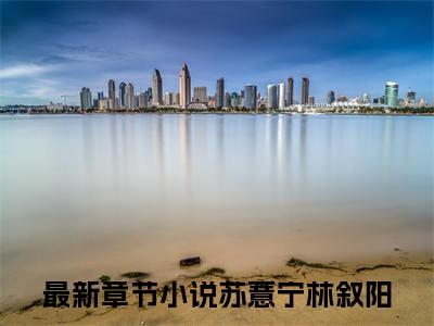 苏薏宁林叙阳(苏薏宁林叙阳)全文免费阅读无弹窗大结局_苏薏宁林叙阳免费阅读全文无弹窗_笔趣阁