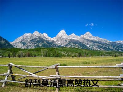 舒梨莫清朗免费小说-舒梨莫清朗完结版在线阅读