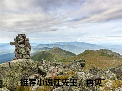 闻依江墨沉（江先生，再见）全文在线阅读无弹窗大结局_闻依江墨沉精选免费小说大结局阅读_江先生，再见