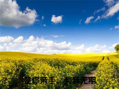 沈初凝宋时宴（是你亲手，判我无期）全文免费阅读无弹窗大结局_沈初凝宋时宴全文阅读完整版_笔趣阁（是你亲手，判我无期）