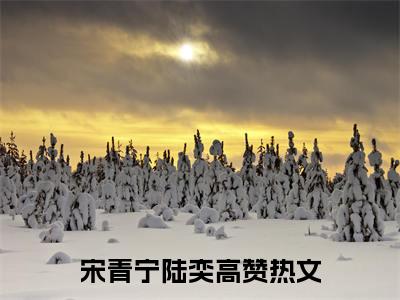 快穿：我靠生子系统宠冠后宫全文免费阅读大结局_宋青宁陆奕已完结全集快穿：我靠生子系统宠冠后宫大结局小说