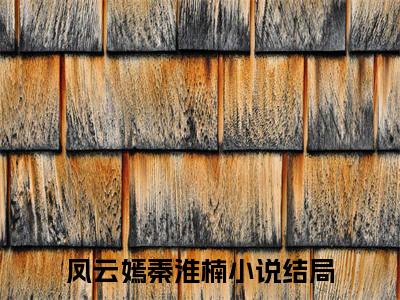 凤云嫣秦淮楠阅读无弹窗大结局_（凤云嫣秦淮楠阅读无弹窗）最新章节列表_笔趣阁（凤云嫣秦淮楠）