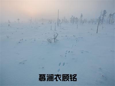 慕澜衣顾铭阅读无弹窗大结局_（慕澜衣顾铭阅读无弹窗）最新章节列表_笔趣阁（慕澜衣顾铭）