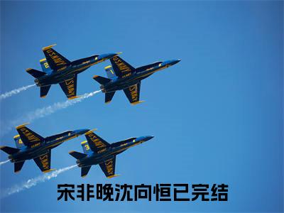 宋非晚沈向恒的小说全文免费阅读无弹窗,宋非晚沈向恒的小说在线免费阅读大结局