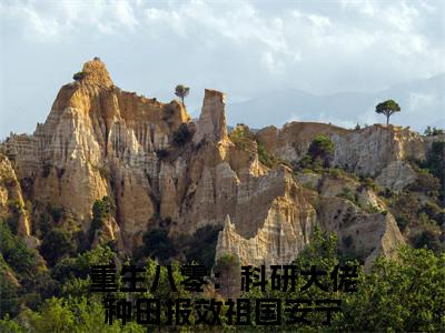 安宁全文免费阅读无弹窗大结局_（重生八零：科研大佬种田报效祖国）安宁免费阅读无弹窗最新章节列表_笔趣阁