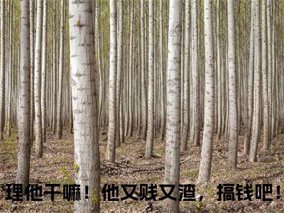 傅无声桑久理他干嘛！他又贱又渣，搞钱吧！精彩章节在线阅读-理他干嘛！他又贱又渣，搞钱吧！美文欣赏