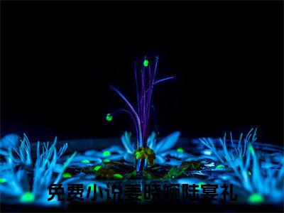 姜晓婉陆宴礼（姜晓婉陆宴礼小说）全文免费阅读无弹窗大结局_（姜晓婉陆宴礼无弹窗）