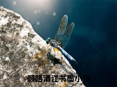 颜路清江书墨小说完整版阅读-（颜路清江书墨）小说全文免费阅读