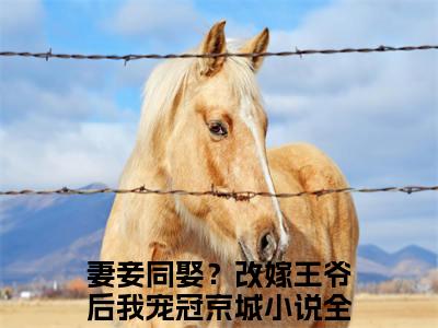 安若晚顾北尘（妻妾同娶？改嫁王爷后我宠冠京城）全文免费阅读无弹窗大结局_（安若晚顾北尘）妻妾同娶？改嫁王爷后我宠冠京城最新章节列表_笔趣阁