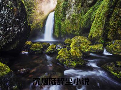 沈烟陆辞尘小说全文免费阅读无弹窗-沈烟陆辞尘全章节阅读
