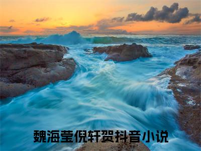 魏海莹倪轩贺宝藏小说推荐魏海莹倪轩贺-魏海莹倪轩贺完整免费阅读小说