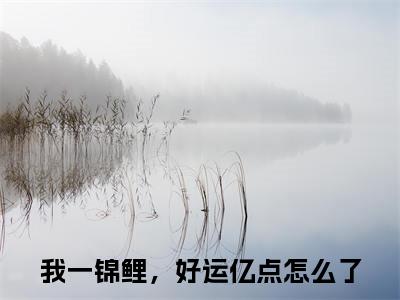我一锦鲤，好运亿点怎么了免费阅读-（我一锦鲤，好运亿点怎么了）全文免费阅读无弹窗大结局（陈叙林雪意）最新章节列表_笔趣阁