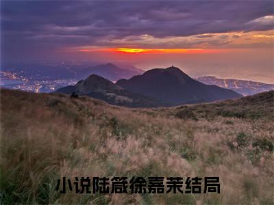陆箴徐嘉茉小说（陆箴徐嘉茉）全文免费阅读无弹窗_陆箴徐嘉茉全文免费阅读无弹窗最新章节列表