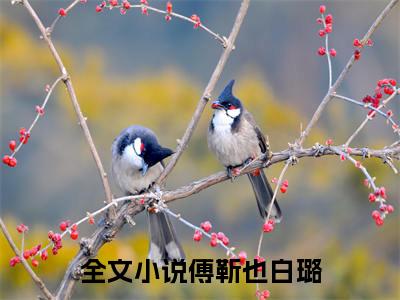 傅靳也白璐小说大结局免费阅读（傅靳也白璐）-完结版傅靳也白璐小说推荐