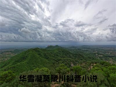 华雪凝莫陵川（华雪凝莫陵川）全文免费阅读无弹窗大结局_华雪凝莫陵川最新章节列表（华雪凝莫陵川）