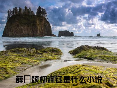 薛璟颂柳澜钰全文免费阅读_（薛璟颂柳澜钰免费阅读无弹窗）薛璟颂柳澜钰最新章节列表笔趣阁（薛璟颂柳澜钰）