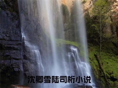 沈卿雪陆司桁(沈卿雪陆司桁)小说免费下载全本-沈卿雪陆司桁（沈卿雪陆司桁完整版）免费阅读无弹窗（沈卿雪陆司桁）