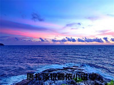唐礼泽祝嘉依全文免费大结局-唐礼泽祝嘉依（唐礼泽祝嘉依）结局在线阅读