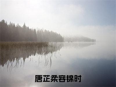 唐芷柔容锦时全文免费阅读无弹窗-唐芷柔容锦时最新章节列表在线阅读