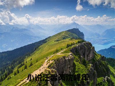 汪馨芮沈峰年精选小说大结局阅读-新上热文小说（汪馨芮沈峰年）讲的是什么