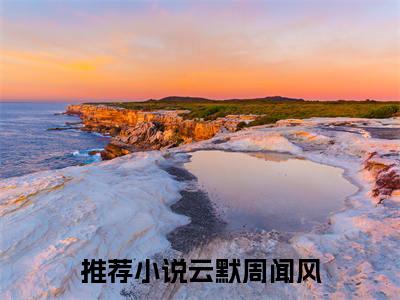 周夫人言明拒绝（云默周闻风全章节完整版）免费阅读_（周夫人言明拒绝）云默周闻风全文无删减免费阅读（周夫人言明拒绝）