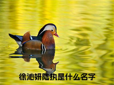 徐沁妍陆执（徐沁妍陆执）美文赏析完整版-徐沁妍陆执好看的小说阅读