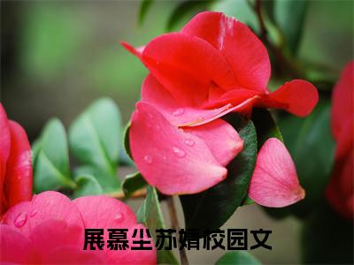 展慕尘苏婧（展慕尘苏婧）全文免费阅读无弹窗大结局_展慕尘苏婧全文免费阅读（展慕尘苏婧）最新章节列表_笔趣阁（展慕尘苏婧）