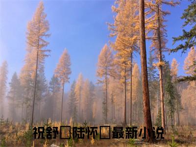 祝舒珣陆怀璟全文免费阅读（风起寒降夜以深）全文免费阅读无弹窗大结局_(风起寒降夜以深)祝舒珣陆怀璟免费阅读无弹窗最新章节列表_笔趣阁（风起寒降夜以深）