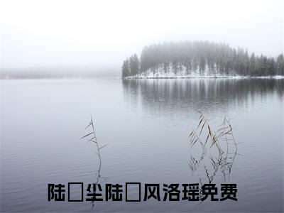 陆璟尘陆璟风洛瑶(陆璟尘陆璟风洛瑶)全文免费阅读无弹窗大结局_(陆璟尘陆璟风洛瑶小说全文大结局)最新章节列表_笔趣阁（陆璟尘陆璟风洛瑶）